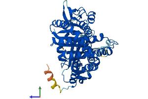 AlphaFold protein structure predicition of Mouse Recombinant Tubb5 Protein, UniprotID P99024