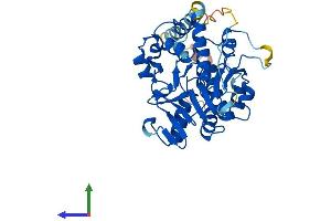 AlphaFold protein structure predicition of Mouse Recombinant A4galt Protein, UniprotID Q67BJ4 (A4GALT Protein (AA 1-359) (His tag))