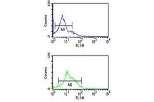 Flow Cytometry (FACS) image for anti-Tight Junction Protein 1 (TJP1) (AA 1570-1600) antibody (ABIN3029133)