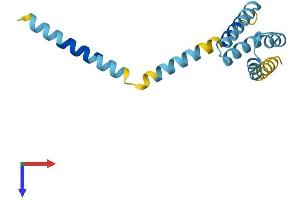 TOMM20 Protein (AA 1-145) (His tag)