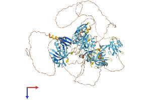 GRIP1 Protein (AA 1-1127) (His tag)