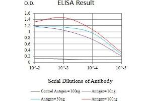 Black line: Control Antigen (100 ng),Purple line: Antigen (10 ng), Blue line: Antigen (50 ng), Red line:Antigen (100 ng) (CLEC10A Antikörper  (AA 158-316))