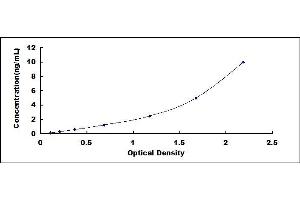 Typical standard curve (SFRP1 ELISA Kit)