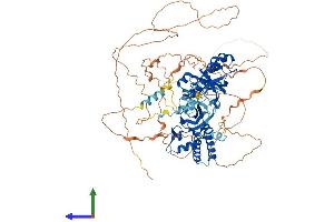 Protein Structure (PS) image for Ring Finger Protein 10 (RNF10) (AA 1-804) protein (His tag) (ABIN7557205)