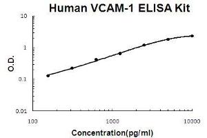 Human VCAM-1 PicoKine ELISA Kit standard curve (VCAM1 ELISA Kit)
