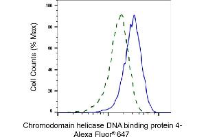 Validation of Chromodomain helicase DNA binding protein 4 knockdown using flow cytometry. (Rekombinanter Chromodomain Helicase DNA Binding 4 Antikörper)