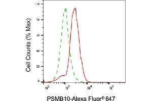 anti-Proteasome 20S Subunit beta 10 antibody