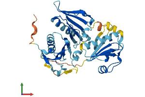 Protein Structure (PS) image for Capping Protein (Actin Filament), Gelsolin-Like (CAPG) (AA 1-352) protein (His tag) (ABIN7562995)