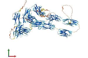 Protein Structure (PS) image for Myosin Binding Protein C, Cardiac (MYBPC3) (AA 1-1270) protein (His tag) (ABIN7562551)