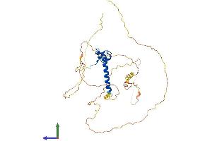 Protein Structure (PS) image for Doublesex and Mab-3 Related Transcription Factor 1 (DMRT1) (AA 1-373) protein (His tag) (ABIN7553672)