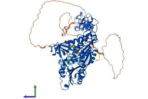 Protein Structure (PS) image for Gephyrin (GPHN) (AA 1-769) protein (His tag) (ABIN7564435)
