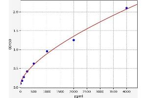 CNR2 ELISA Kit