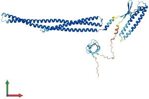 Protein Structure (PS) image for Nitric Oxide Synthase Trafficker (NOSTRIN) (AA 1-506) protein (His tag) (ABIN7558125)
