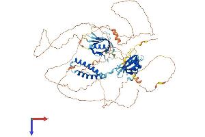 SH2B1 Protein (AA 1-756) (His tag)