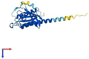 RAB35 Protein (AA 1-201) (His tag)