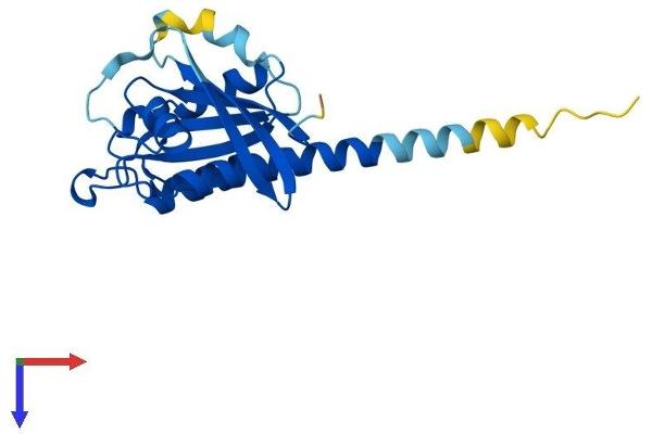 RAB35 Protein (AA 1-201) (His tag)