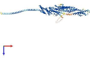 EXOC7 Protein (AA 1-697) (His tag)