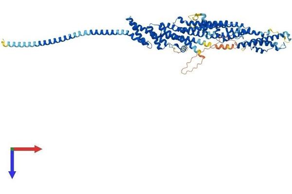 EXOC7 Protein (AA 1-697) (His tag)
