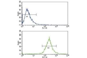 Flow cytometric analysis of WiDr cells using BMPR1A antibody (blue) compared to a negative control (green). (BMPR1A Antikörper  (AA 1-30))