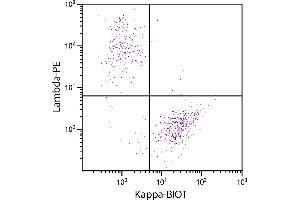 CD19+ human B-lymphocytes were stained with Goat Anti-Human Kappa-BIOT and Goat F(ab’)2 Anti-Human Lambda, Mouse ads-PE. (Ziege anti-Human Ig (Chain kappa) Antikörper (Biotin))