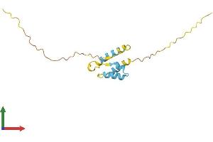 AlphaFold protein structure predicition of Human Recombinant PPP1R14A Protein, UniprotID Q96A00