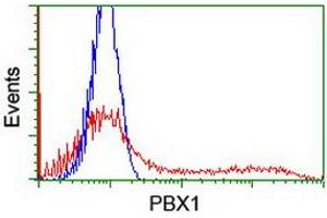 Flow Cytometry (FACS) image for anti-Pre-B-Cell Leukemia Homeobox Protein 1 (PBX1) antibody (ABIN1500046) (PBX1 Antikörper)