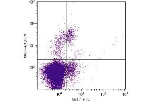 anti-Killer Cell Lectin-Like Receptor Subfamily C, Member 1/2/3 (KLRC1/2/3) antibody (PE)
