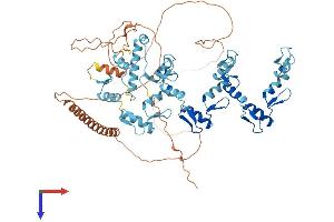 ZNF81 Protein (AA 1-661) (His tag)