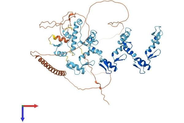 ZNF81 Protein (AA 1-661) (His tag)