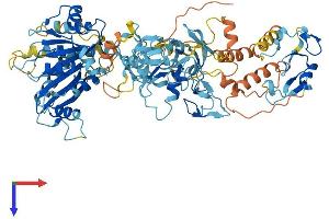ZFYVE1 Protein (AA 1-777) (His tag)