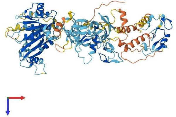 ZFYVE1 Protein (AA 1-777) (His tag)