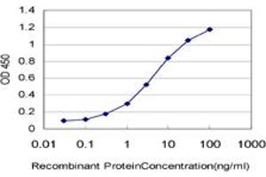 Detection limit for recombinant GST tagged MYBL2 is approximately 0. (MYBL2 Antikörper  (AA 601-700))