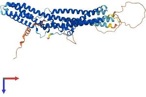 TTYH3 Protein (AA 1-524) (His tag)