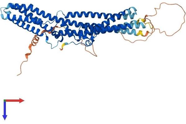 TTYH3 Protein (AA 1-524) (His tag)