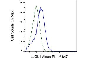 Validation of LLGL1 knockdown using flow cytometry.
