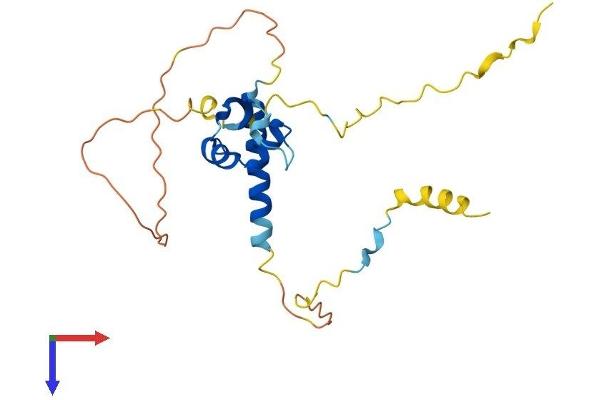LYSMD1 Protein (AA 1-227) (His tag)