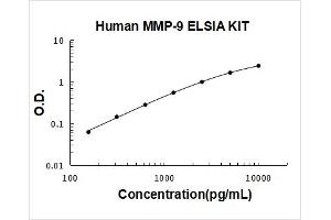 Human MMP-9 PicoKine ELISA Kit standard curve