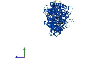 Protein Structure (PS) image for Peptidyl Arginine Deiminase, Type III (PADI3) (AA 1-664) protein (His tag) (ABIN7550406)