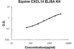 Horse equine CXCL14 PicoKine ELISA Kit standard curve (CXCL14 ELISA Kit)