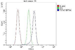 Flow Cytometry analysis of THP-1 cells using anti-TRPM7 antibody (ABIN6719305).