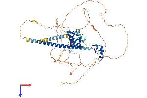 DEAF1 Protein (AA 1-566) (His tag)