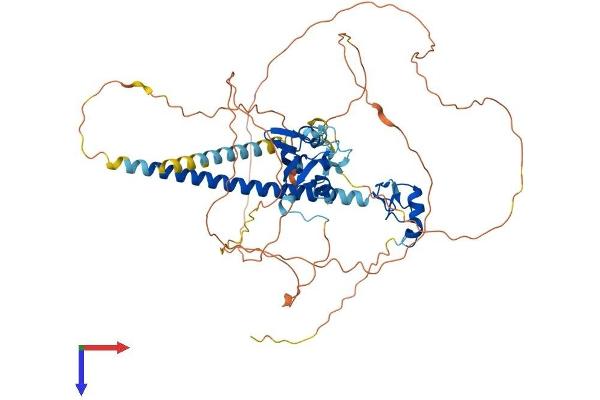 DEAF1 Protein (AA 1-566) (His tag)