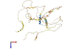 Fibrosin Protein (FBS) (AA 1-466) (His tag)