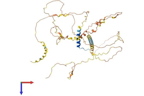 Fibrosin Protein (FBS) (AA 1-466) (His tag)