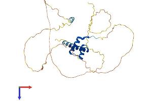 Homeobox A11 Protein (HOXA11) (AA 1-313) (His tag)