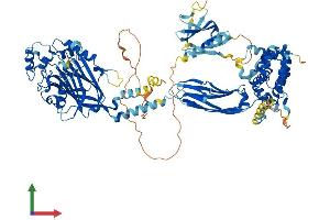 Protein Structure (PS) image for Oculocerebrorenal Syndrome of Lowe (OCRL) (AA 1-900) protein (His tag) (ABIN7564056)