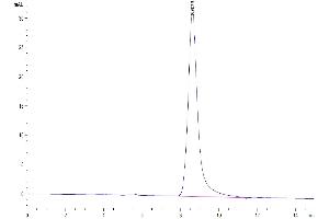 Size-exclusion chromatography-High Pressure Liquid Chromatography (SEC-HPLC) image for Tumor Necrosis Factor Receptor Superfamily, Member 18 (TNFRSF18) (AA 26-161) protein (Fc Tag) (ABIN7274787)