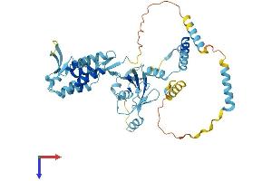 UBXN6 Protein (AA 1-441) (His tag)