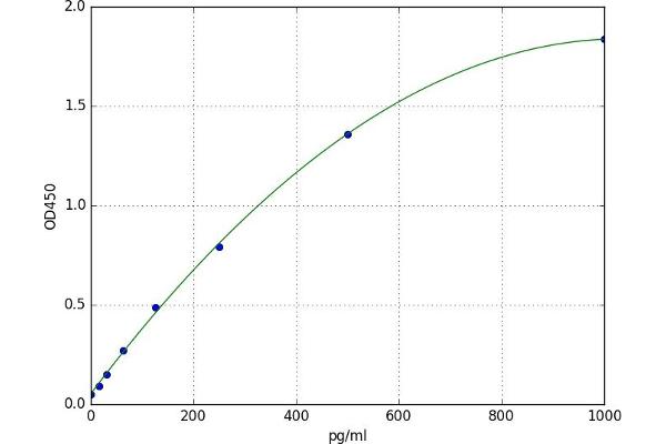 Chemokine (C-X-C Motif) Ligand 15 (CXCL15) ELISA Kit