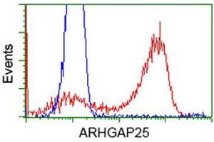 Flow Cytometry (FACS) image for anti-rho GTPase Activating Protein 25 (ARHGAP25) antibody (ABIN1496704)